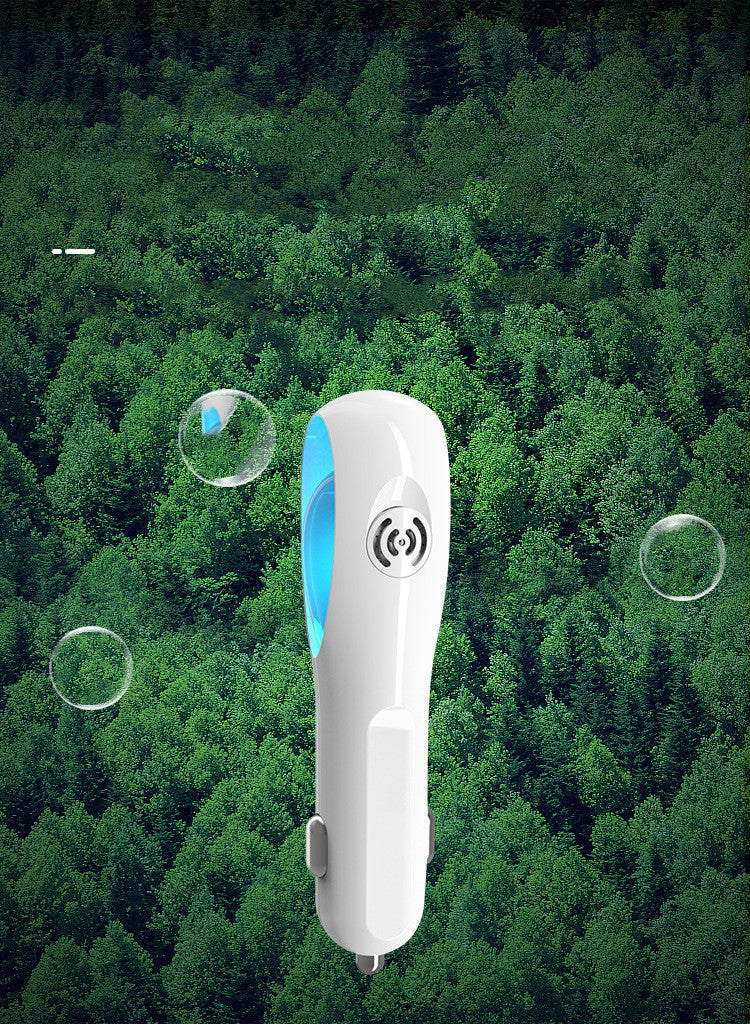 Negative Ion Air Purifier Deodorizing Essential Oil Ion Generator