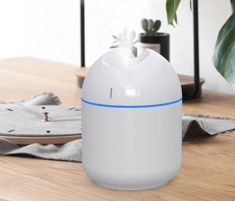 Bedroom Pregnant Woman Mini Baby Office Big Spray Car