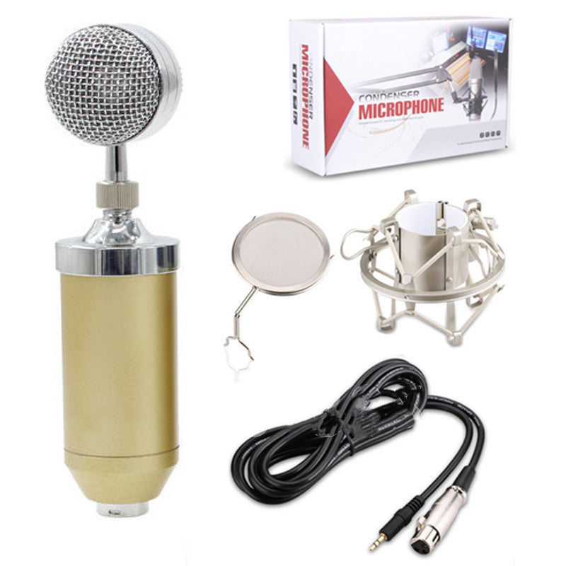 Small Baby Bottle External Sound Card Condenser Microphone