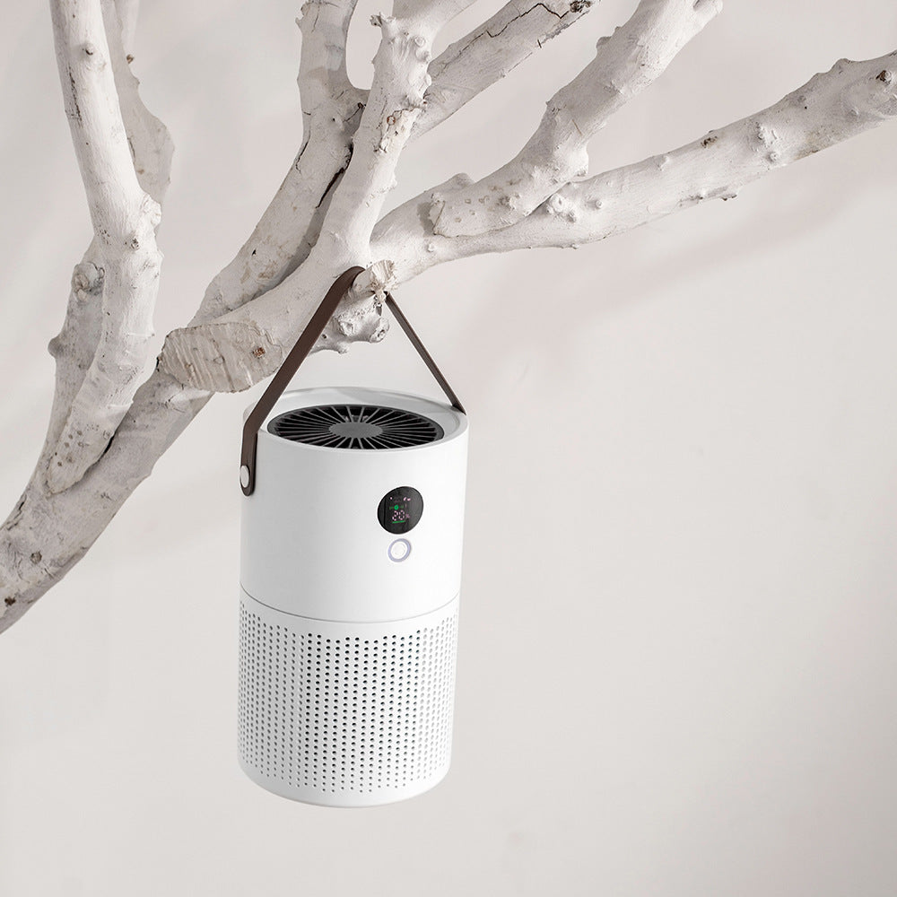 Desktop negative ion purifier indoor bedroom office