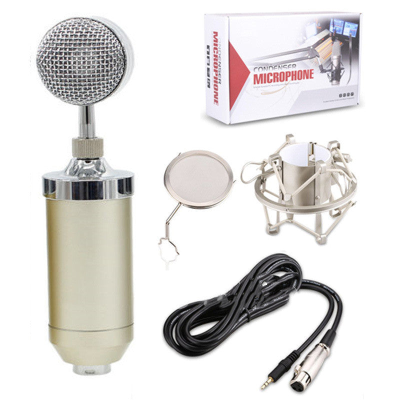 Small Baby Bottle External Sound Card Condenser Microphone