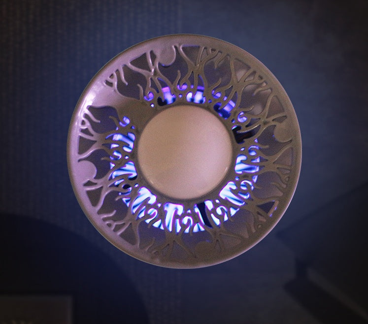 In addition to formaldehyde air purifier