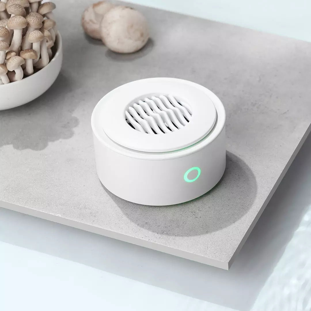 Portable Fruit And Vegetable Purifier Sterilizes And Removes Pesticide Residues