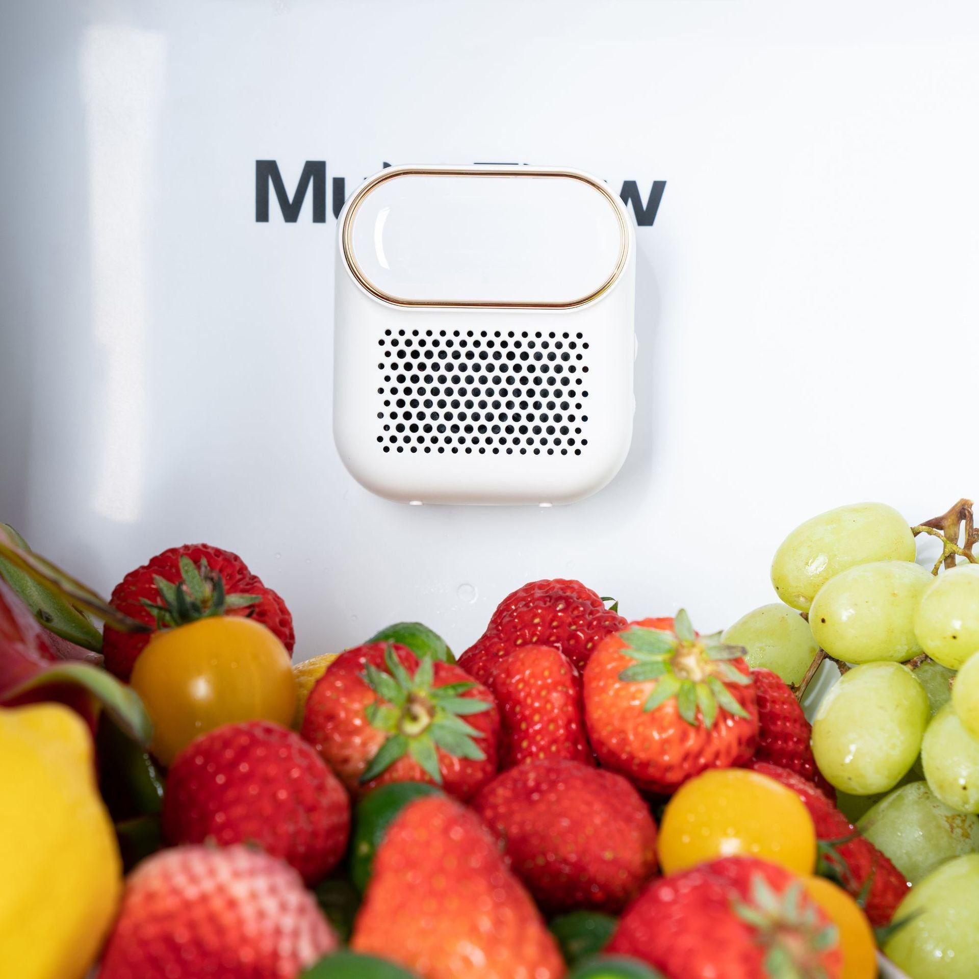 Deodorization Box Air Purifier Electronic Deodorization Machine