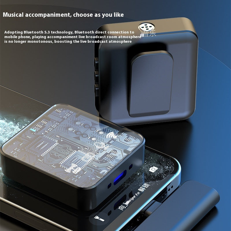 Wireless Microphone With Bluetooth Accompaniment Noise Reduction