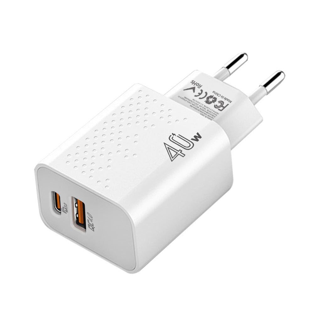 European And American Standard Dual-port Charger