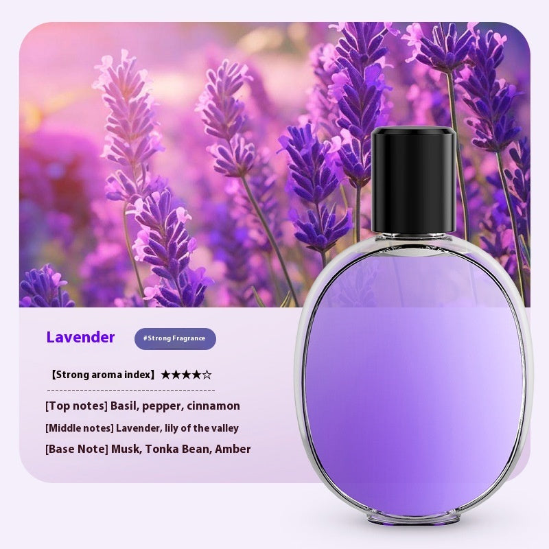 Household High-grade Essential Oil Replenisher