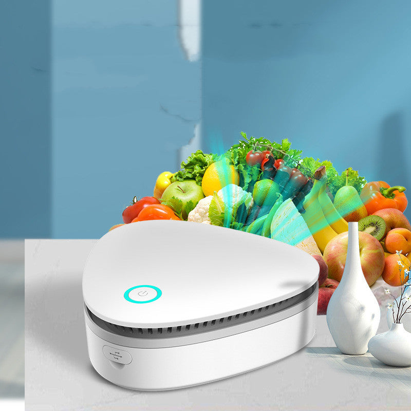 Ozone Sterilizer Wardrobe Shoe Cabinet Pet Refrigerator Sterilizer Portable Car Household Air Purifier