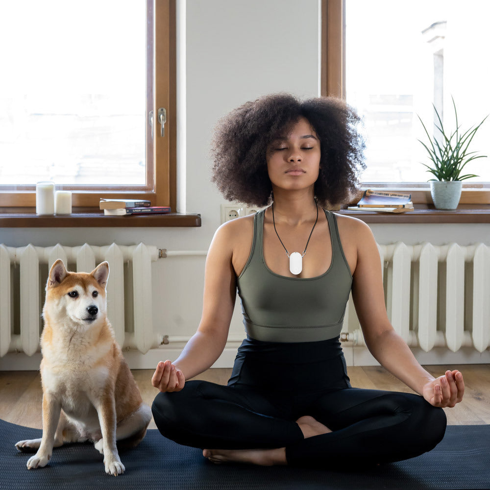 Hanging Neck Portable Air Purifier